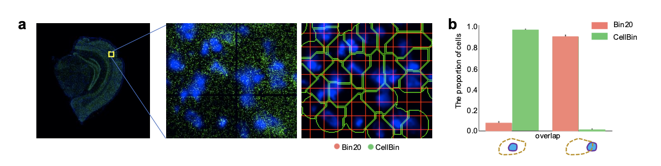 Two strategies for obtaining single-cell expression matrices